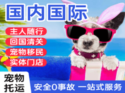 丹东航空快递国际宠物托运 【国